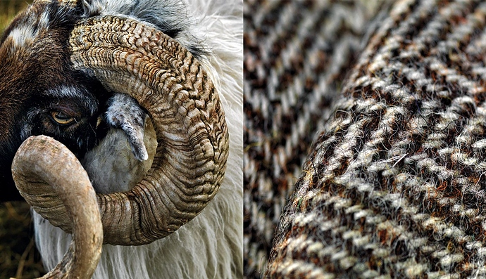 8037190c580897652cfac5a71c3d6cdb