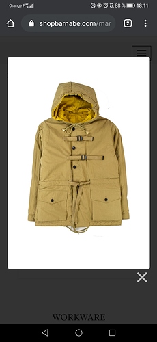 Screenshot_20201006_181154_com.android.chrome