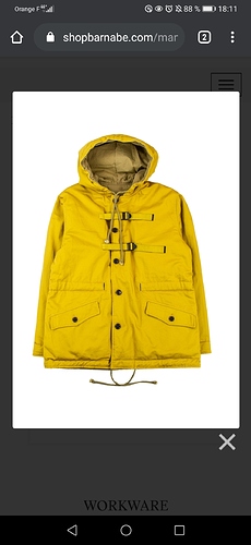 Screenshot_20201006_181143_com.android.chrome