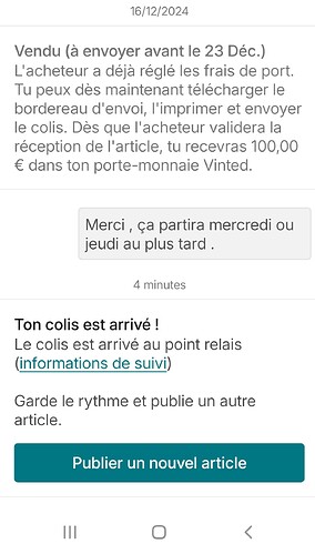 Screenshot_20241228_184529_Vinted