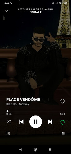 Screenshot_2021-02-03-08-44-35-250_com.spotify.music