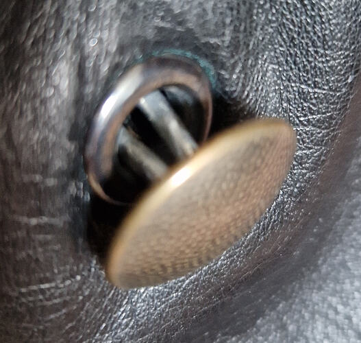 bouton