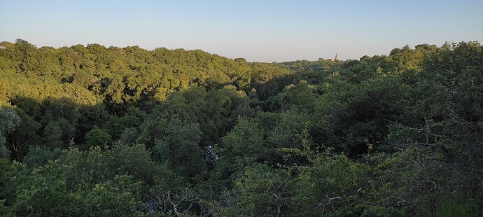 IMG_20210719_204941