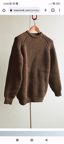 Screenshot_2022-08-31-13-30-24-710_com.android.chrome