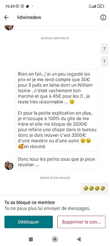 Screenshot_2023-12-12-19-39-40-574_fr.vinted