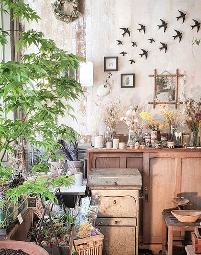 les-fleurs-swallow-hirondelles