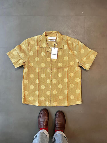 Modern Camp Collar Japanese Velvet