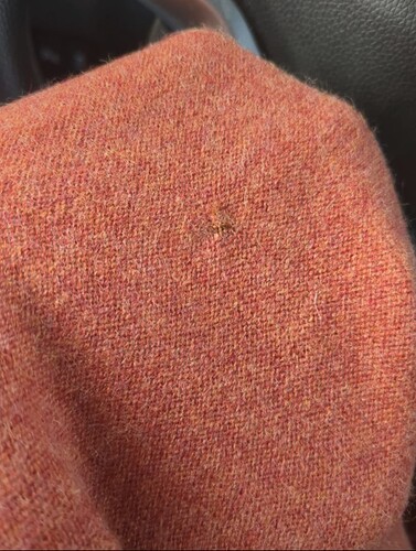 Screenshot_20231017-170925