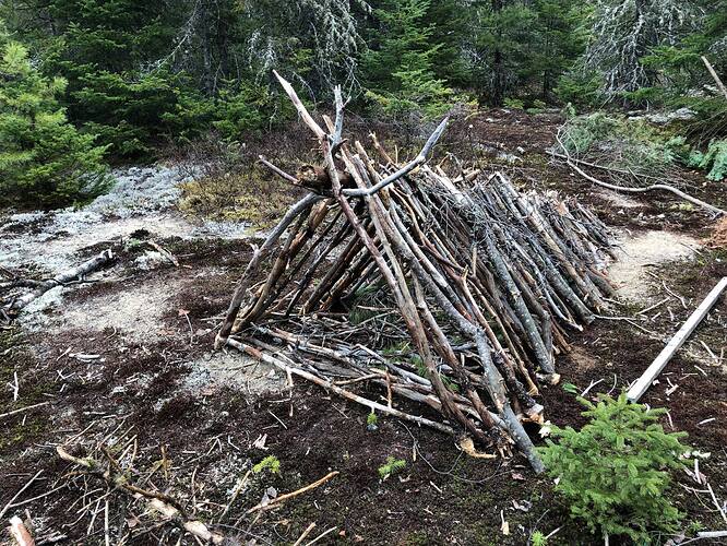 178030555_3828920723844289_8038445849098563531_n