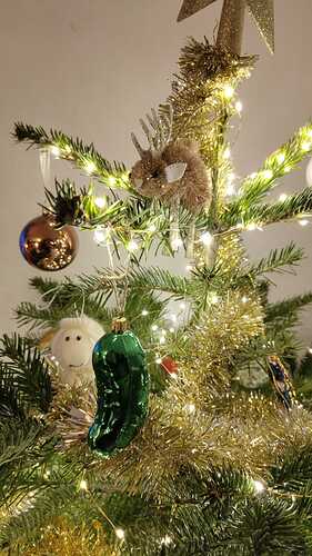 592602611_900333776229543_6981535604027640678_n