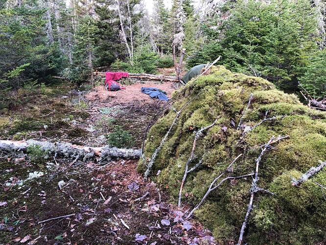 178127509_2863321587238101_1091422514206418748_n