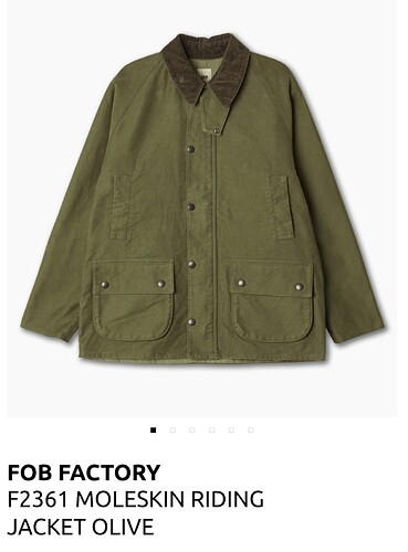 Polish_20240916_140737827