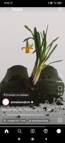 Screenshot_2024-03-15-16-46-32-266_com.instagram.android