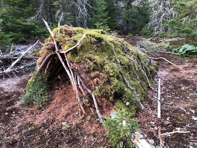 177983069_309458397306352_3840722619526786940_n