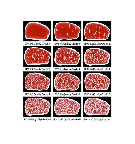 steak-bio-de-wagyu