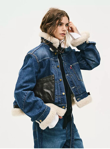 levis sacai flight jacket b3 denim