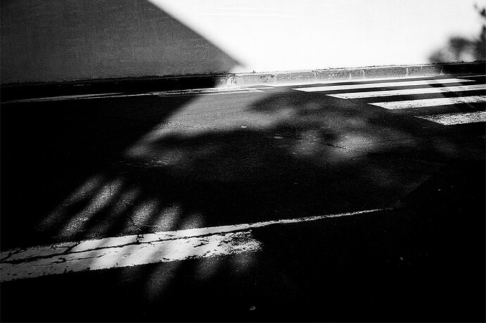 Vacance-ete_04 août 2021_IMG_0171 copie