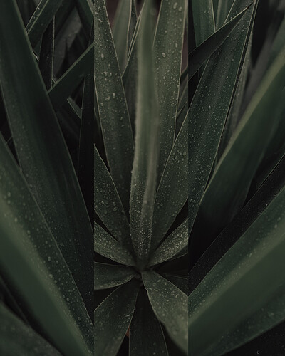 Green-TRI