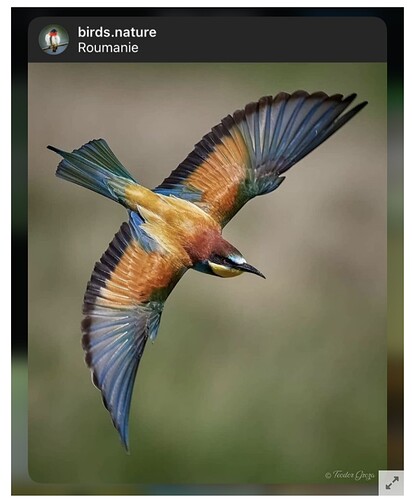 Screenshot_20210805-152154_Chrome