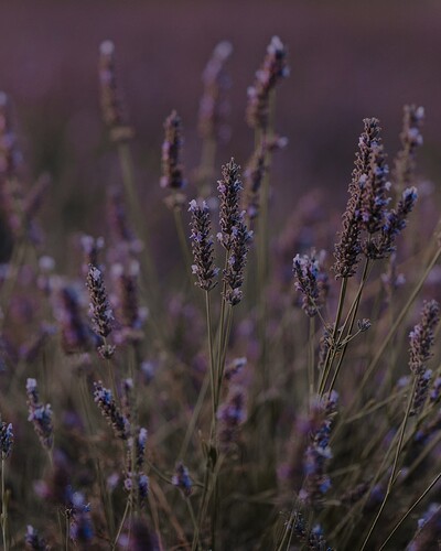 31072021-NCL-DSC06764