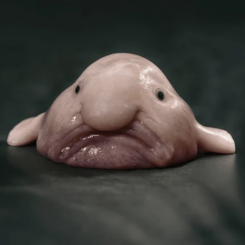 blobfish-600nw-2651104447