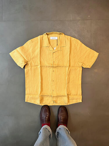 Modern Camp Collar Linen Pineapple