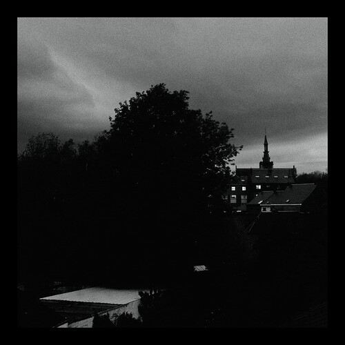 2021_0524_21480900_polarr_1