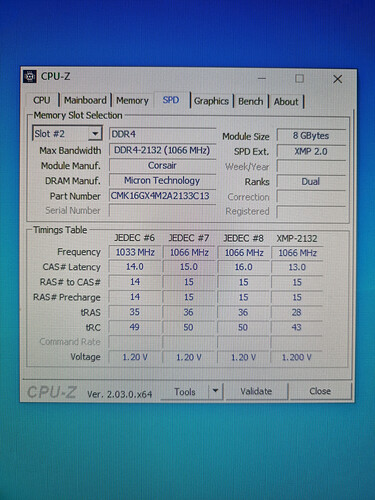 1000018124
