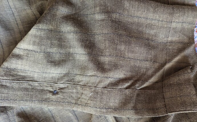 PXL_20251014_101121460.MP