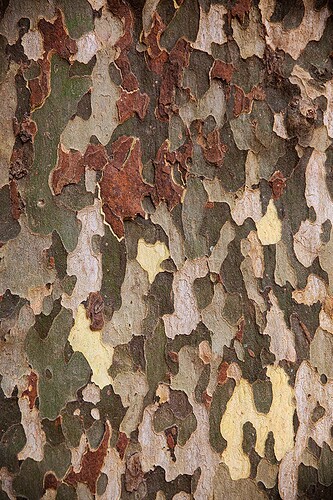 Vacance-ete_03 août 2021_IMG_0097 copie