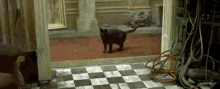 whoa-deja-vu-matrix-glitch
